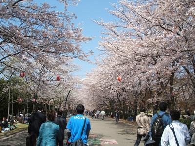 DSCF2715kofu 0406.JPG